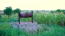 An Old Water Well On Rural Homestead. An Abandoned Well In The Middle Of Green Grass And Trees.	
