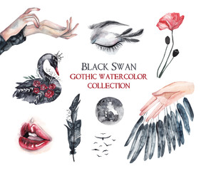  Black Swan watercolor collection. Gothic hand drawn illustrations on white isolated background. Black swan, lips, feather and birds, Moon, flowers
