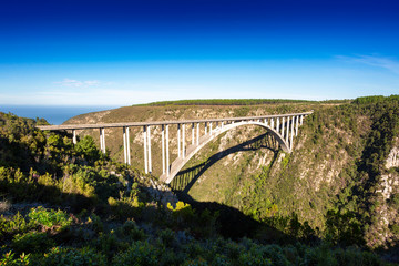 south africa's biggest bungee jump bridge (bloukrans bridge bungy)