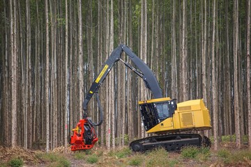 Poster - Logging Equipment