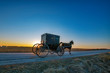 © David Arment - Amish Buggy at Sunrsie