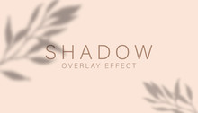 Shadow Overlay Effect. Transparent Soft Light And Shadows From Branches, Plant, Foliage And Leaves. Mockup Of Transparent Leaf Shadow Overlay Effect And Natural Lightning. Vector Mock Up Gradient Mesh