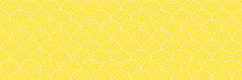 Background Pattern Seamless Circle Abstract White Line And Yellow Color. Summer Background Design.