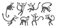 Cute Funny Ring-tailed Lemurs. Exotic Lemur Catta. Set Of Vector Illustrations In Cartoon And Flat Style Isolated On White Background