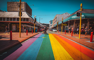 Wall Mural - Landscape of Cuba Street, Wellington, New Zealand