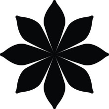 Star Anise Icon