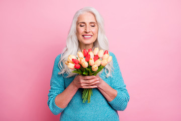 Sticker - Portrait of positive charming cheerful old woman granny receive bunch of tulips smell close eyes enjoy 8-march celebration wear casual style jumper isolated over pastel color background