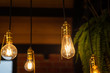 Electrical classic light bulb in warm light color which is hanging down from the ceiling, using as interior decorative for retro and vintage style. Close-up and selective focus on the object.