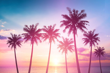 Wall Mural - world tourism day concept: silhouettes of coconut trees against the setting sun