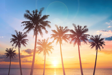 Wall Mural - world tourism day concept: silhouettes of coconut trees against the setting sun