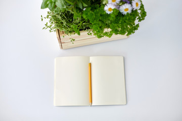 Wall Mural - gardening, plants and organic concept - notebook with pencil and green herbs with flowers in wooden box on table