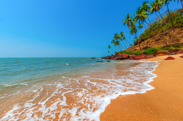 Wall Mural - Palm trees on the coast of the sea. Goa.