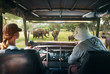© soft_light - Couple young people watch wild elephants on safari tour in national park in Africa.