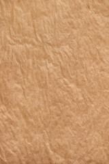 Wall Mural - Vertically oriented crumpled baking paper with smooth curves. Abstract culinary cooking texture background