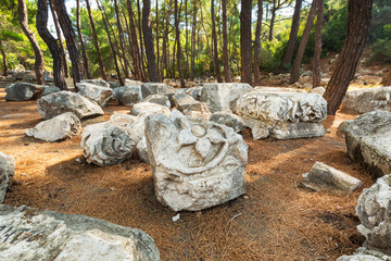 Wall Mural - Ruins of the ancient Phaselis city in Antalya province. Turkey