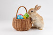 Easter bunny rabbit with basket full of eggs