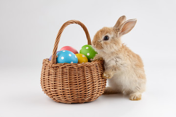 Easter bunny rabbit with basket full of eggs