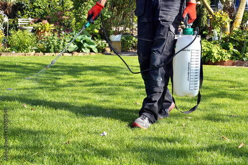 weedicide spray on the weeds in the garden. spraying pesticide with portable sprayer to eradicate garden weeds in the lawn. Pesticide use is hazardous to health. Weed control concept. weed killer.