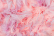 Soft and gentle pink and violet feathers boa background.