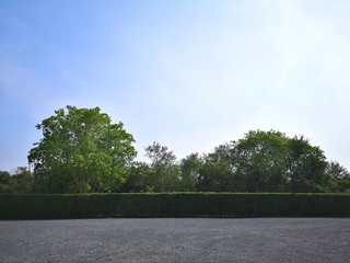 Parking lot sprinkled with gravel on tree bush nature background