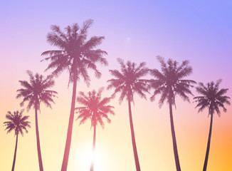 Wall Mural - world tourism day concept: silhouettes of coconut trees against the setting sun
