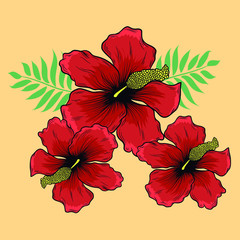 Ilustracion flor ibizcus hawaiiana diseño totalmente editable