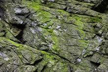 Beautiful Natural Stone Background With Green Moss And Lichen.