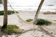 White Fringed Hammock Hanging Between Palm Trees On Sunny Beach