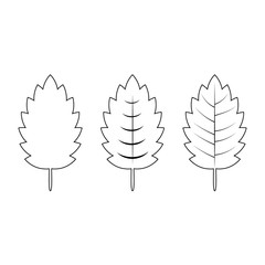 Wall Mural - Set of leaves isolated on a white background.Contour drawing.Leaves with veins.Botanical illustration.Vector