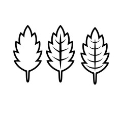 Wall Mural - Set of leaves isolated on a white background.Contour drawing.Leaves with veins.Botanical illustration.Vector