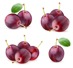 Wall Mural - bunch of plums isolated on a white background.
