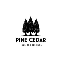 Illustration Rustic Retro Vintage Evergreen, Pines, Spruce, Cedar trees logo design