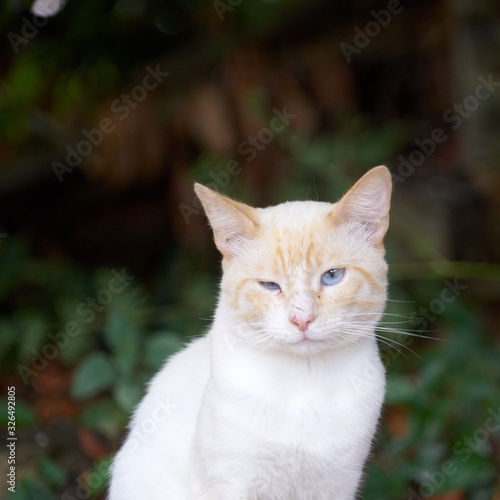 4 298 Bleus Wall Murals Canvas Prints Stickers Wallsheaven