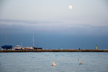 Beautiful Couple Of White Swans With Pier, Lighthouse And Moon