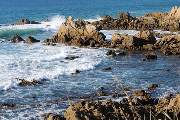 Wall Mural - rocky and coastal beach