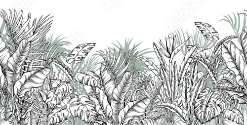 seamless-border-with-tropical-palm-banana-and-monstera-leaves