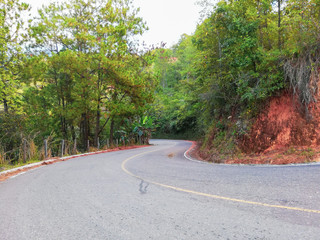 highway in the sierra