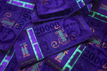 Wall Mural - Check the authenticity of money. 20000 Hungarian forint banknote in UV light to verify authenticity of the money. Image may contain noise , grains.