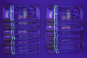 Wall Mural - Check the authenticity of money. 20000 Hungarian forint banknote in UV light to verify authenticity of the money. Image may contain noise , grains.