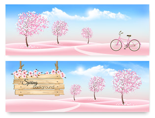 Poster - Spring nature background with a pink sakura blossom. Vector