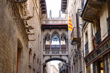 Bishop's Bridge (El Pont del Bisbe) in Barcelona's Gothic Quarter, Spain