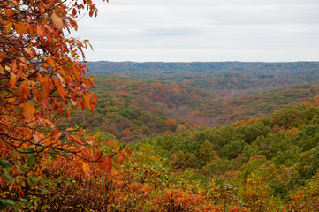 autumn landscape with trees and blue sky - Nashville Indiana - Brown County State Park 