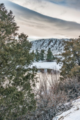 Sticker - Evergreen Trees Add Color to the Snow