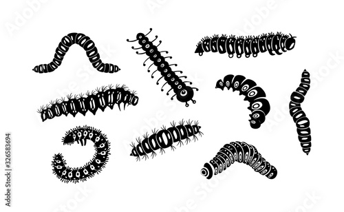 Cuadros en Lienzo Set spring and summer caterpillar icons