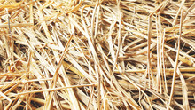 Rice Straw Bales After Collecting In The Rice Field