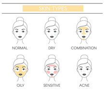 Basic Skin Types Normal, Dry, Combination, Oily, Sensitive And Acne. Line Vector Elements On A White Background.
