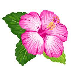 Wall Mural - Tropical hibiscus flower