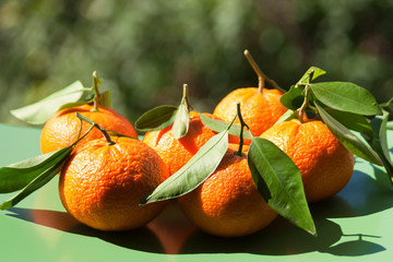 Wall Mural - Ripe tangerines with green leaves on table