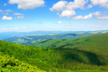 Wall Mural - Carpathian mountains on bright sunny day