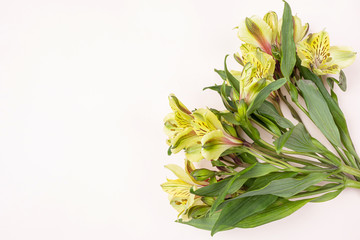 Bouquet of fresh alstroemeria flowers. The concept of spring, summer, women's day, holiday. Flat lay, top view, minimalism, copy space.